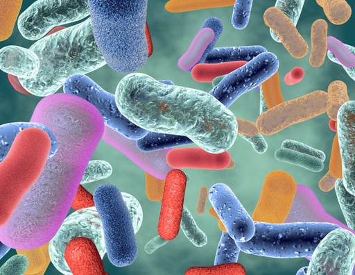 Le microbiote intestinal : un nouveau levier thérapeutique en médecine